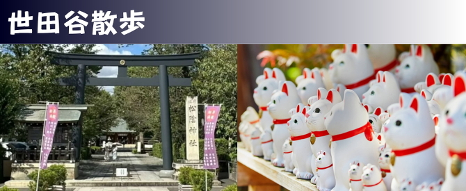 ���c�J�U��