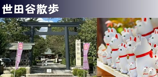 ジョイフル横浜倶楽部
