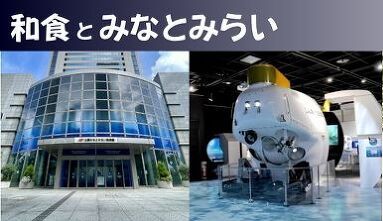 �W���C�t�����l��y��