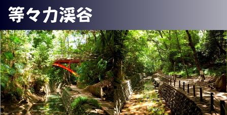 ジョイフル横浜倶楽部