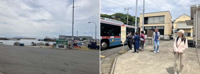 荒崎海岸 荒崎海岸