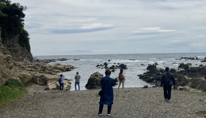 荒崎海岸 荒崎海岸