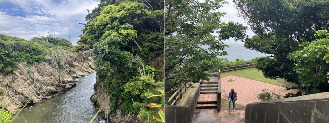 荒崎海岸 荒崎海岸