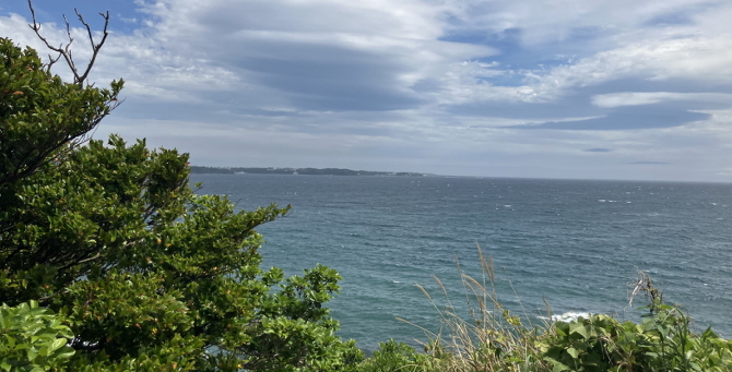 荒崎海岸 荒崎海岸