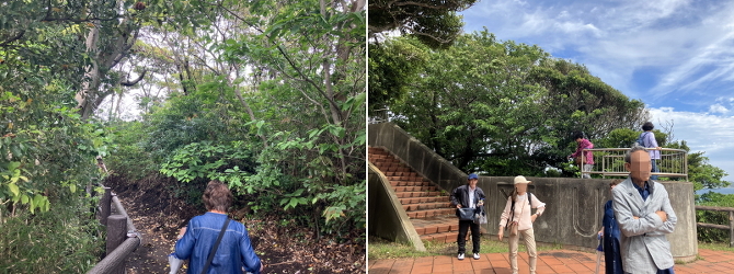 荒崎海岸 荒崎海岸