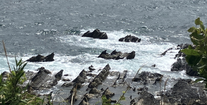 荒崎海岸 荒崎海岸