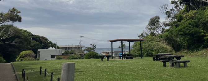 荒崎海岸 荒崎海岸