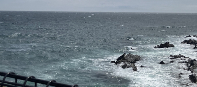 荒崎海岸 荒崎海岸