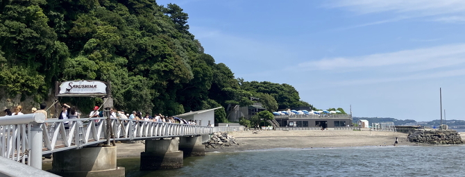 猿島 猿島