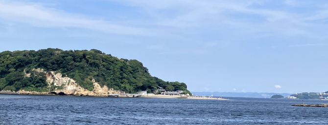 猿島 猿島
