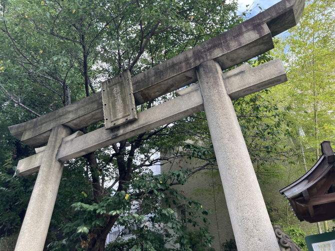 暑気払い第二弾 暑気払い第二弾