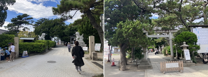 森戸神社・一色海岸 森戸神社・一色海岸