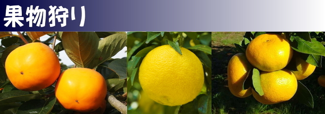 2025果物狩り 2025果物狩り