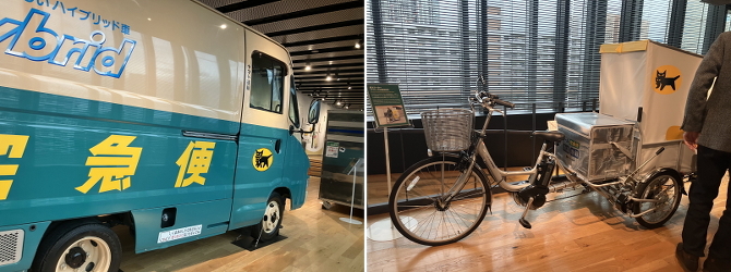 �W���C�t�����l��y���Y�N����e