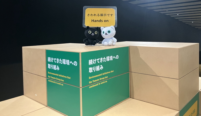 �W���C�t�����l��y���Y�N����e