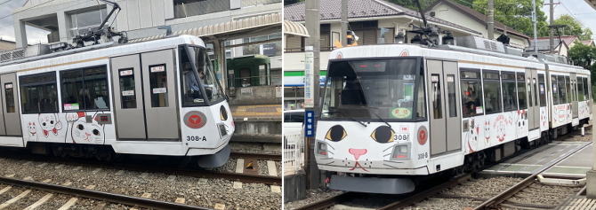 世田谷散歩 世田谷散歩