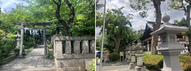 世田谷散歩 世田谷散歩