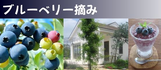 �W���C�t�����l��y��